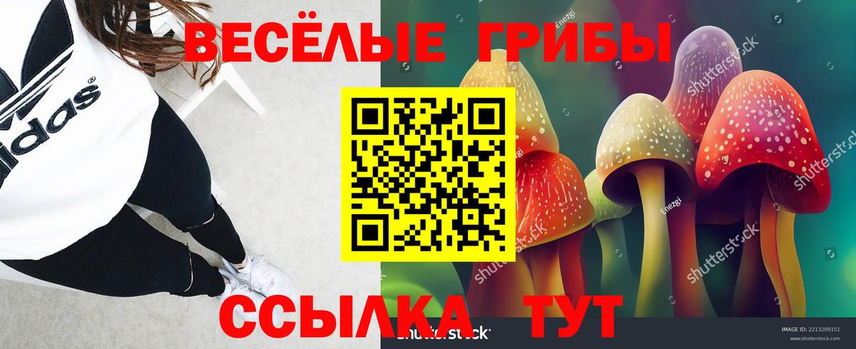 Галлюциногенные грибы прущие грибы  Галлюциногенные грибы мицелий  Большой Камень  Вход с VPN 